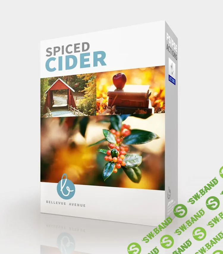 [Spiced Cider] Bellevue Avenue Actions- Spiced Cider