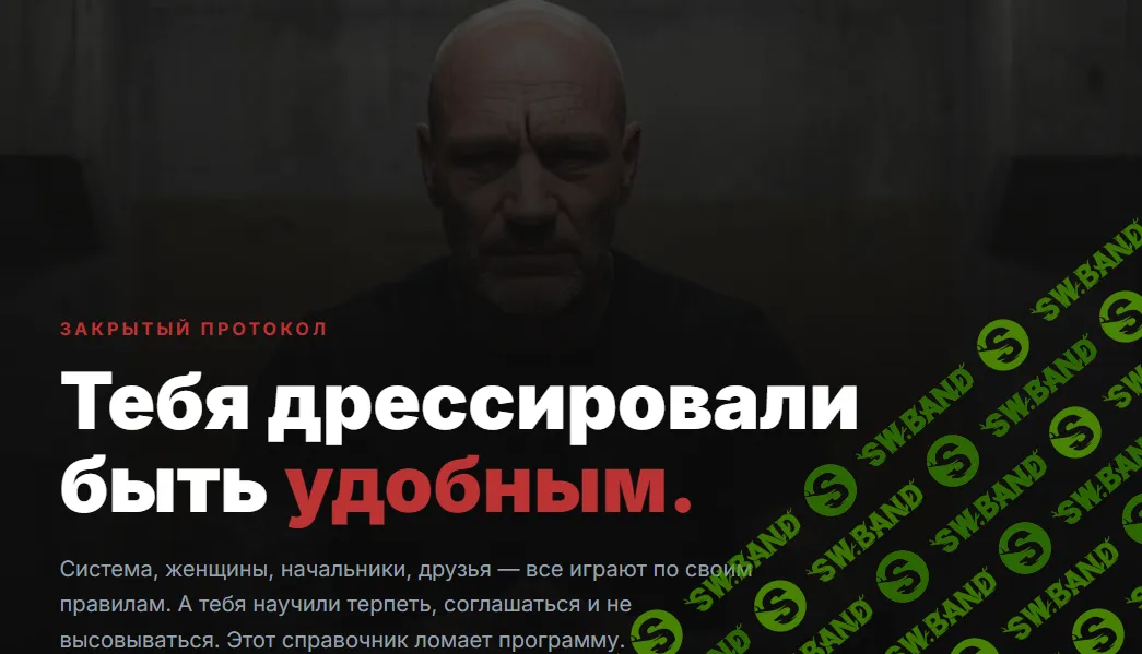 Справочник по социальному доминированию [Беспалый]