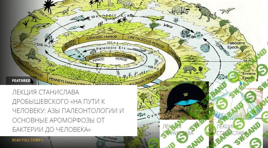 [Станислав Дробышевский] Теория эволюции (2023)