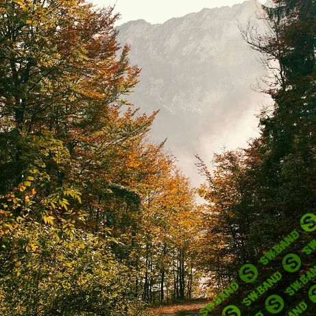 [Станислав Раевский] Новые методы глубинной психологии. Вебинар 17. Счастье и психотерапия (2025)