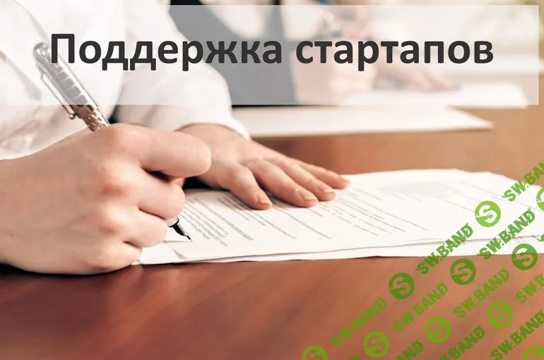 «Старайтесь сделать всё проще»: юридические советы для молодых стартапов
