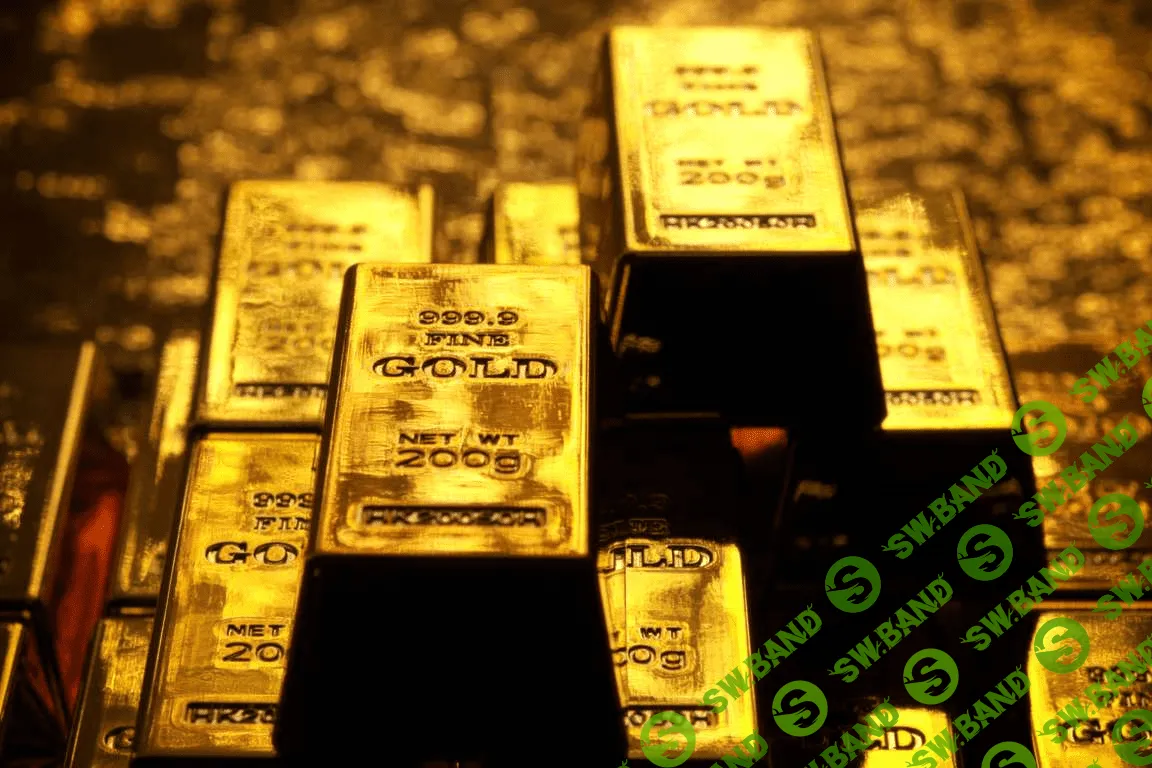 Стартап из «Сколково» представил экзоскелет. В Сбербанке в нем будут носить мешки с золотыми слитками