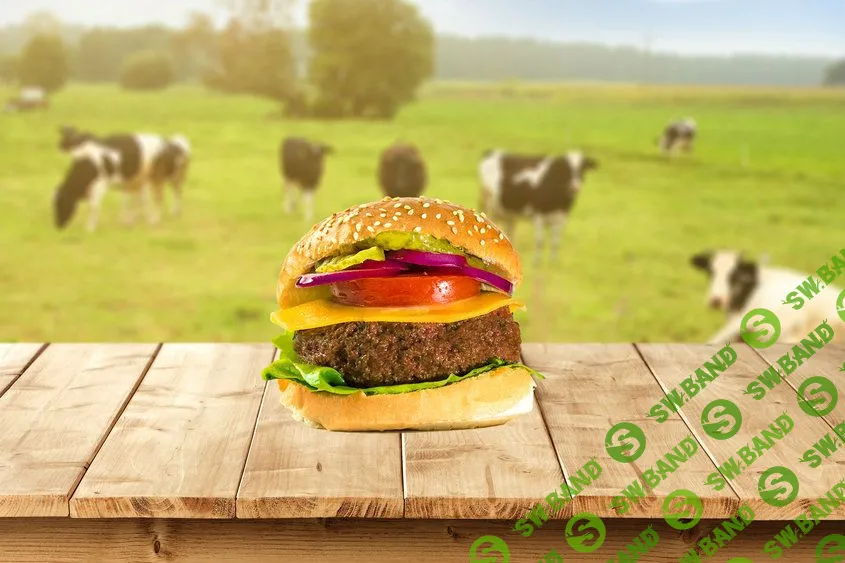 Стартап по созданию мяса в лаборатории привлек $8,8 млн. На старте производство одного бургера стоило $330 тысяч
