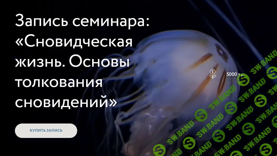 [Стелла Гусарова] «Сновидческая жизнь. Основы толкования сновидений» (2024)
