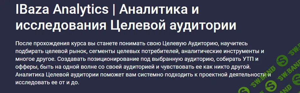 [Stepik] Аналитика и исследования целевой аудитории (2024)