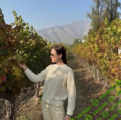 [stepik, Дарина Серова] Вино по поводу и без (2026)