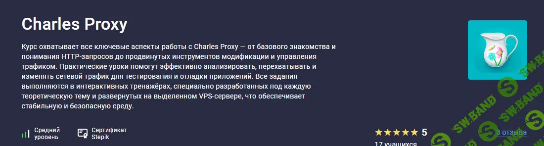 [stepik, Илья Мирошниченко] Charles Proxy (2025)