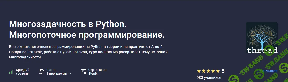 [Stepik] Многозадачность в Python. Многопоточное программирование. (2023)