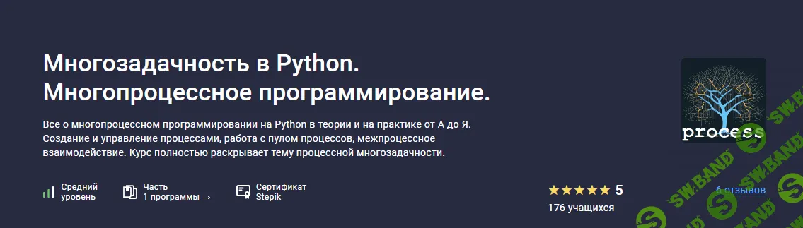 [Stepik] Многозадачность в Python. Многопроцессное программирование (2024)