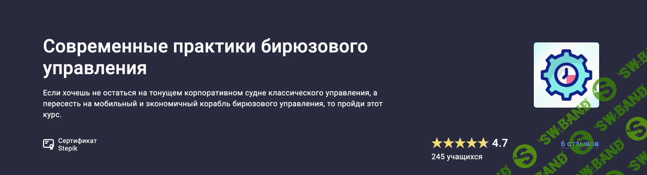 [Stepik] Современные практики бирюзового управления (2024)