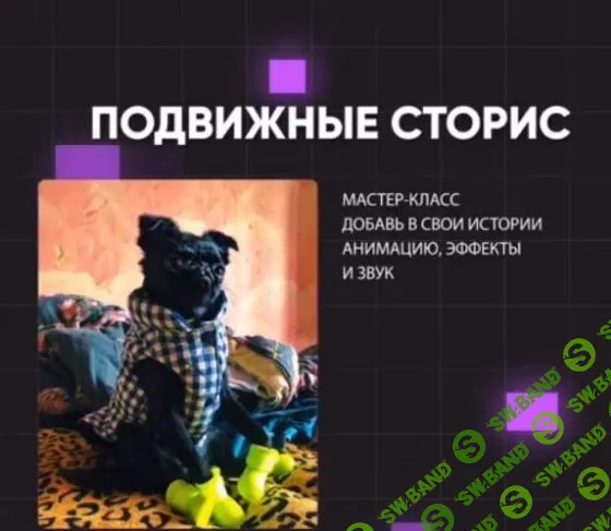 [stories_mks] Мастер-класс по анимированным Stories в Instagram (2019)