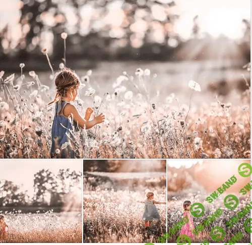 [Storyville] Storyville-Розовое Золото Пресеты