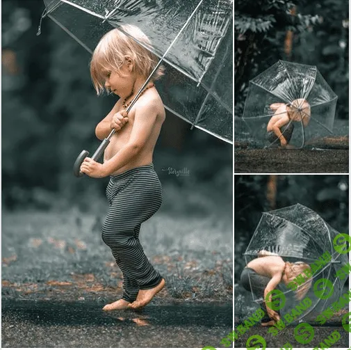 [Storyville] Storyville-Вечные Сосновые Пресеты