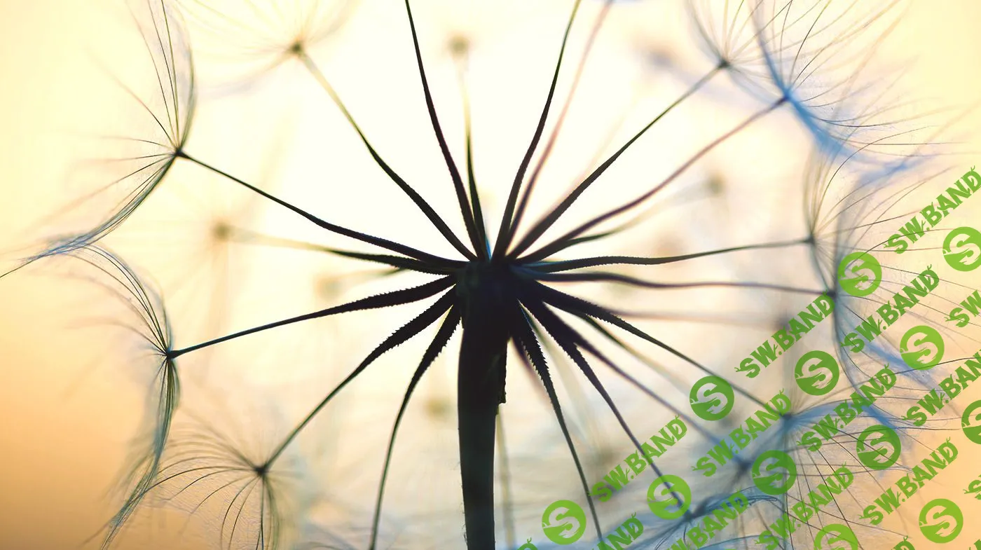 Стресс и психосоматика: как найти свой путь к целебному расслаблению