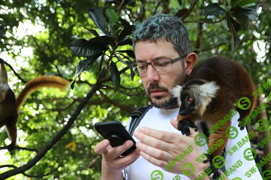 «Студия Артемия Лебедева» начнет продавать стартапам дизайн продуктов за 300 тыс. рублей