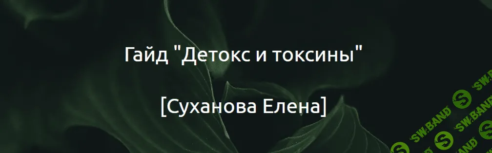 [Суханова Елена] Гайд «Детокс и токсины» (2024)