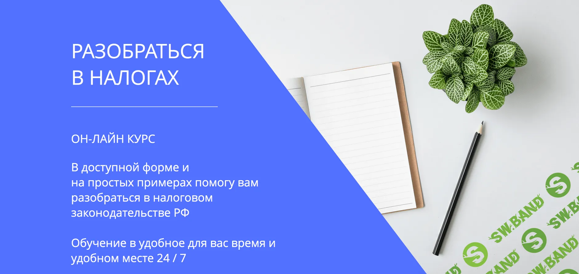 [Светлана Беляева] Разобраться в налогах (2019)