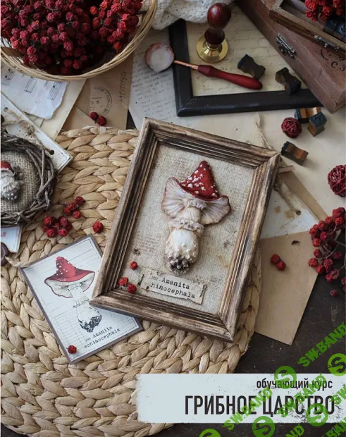 [Светлана Должина] Грибное царство (2024)