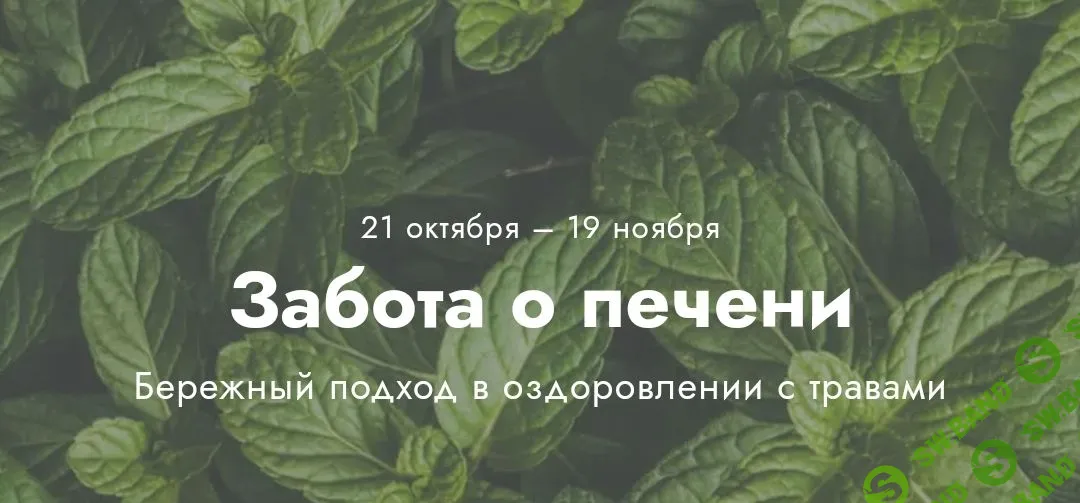 [Светлана Калмыкова] Забота о печени (2023)
