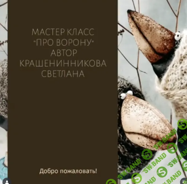 [Светлана Крашенинникова] Про Ворону (2025)