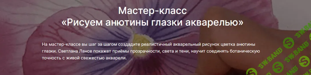 [Светлана Лансе, lectoroom] Рисуем анютины глазки акварелью (2025)