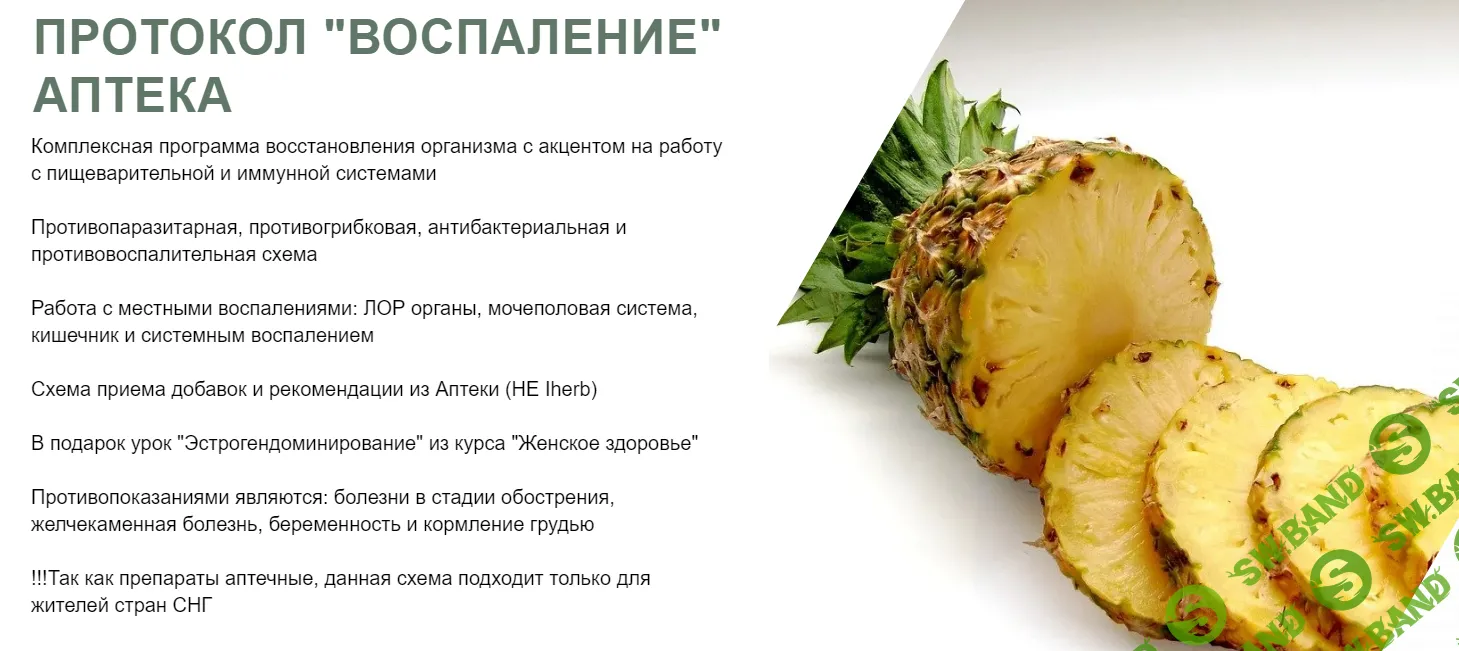 [Светлана Литвиненко] Протокол «Воспаление Аптека» (2024)