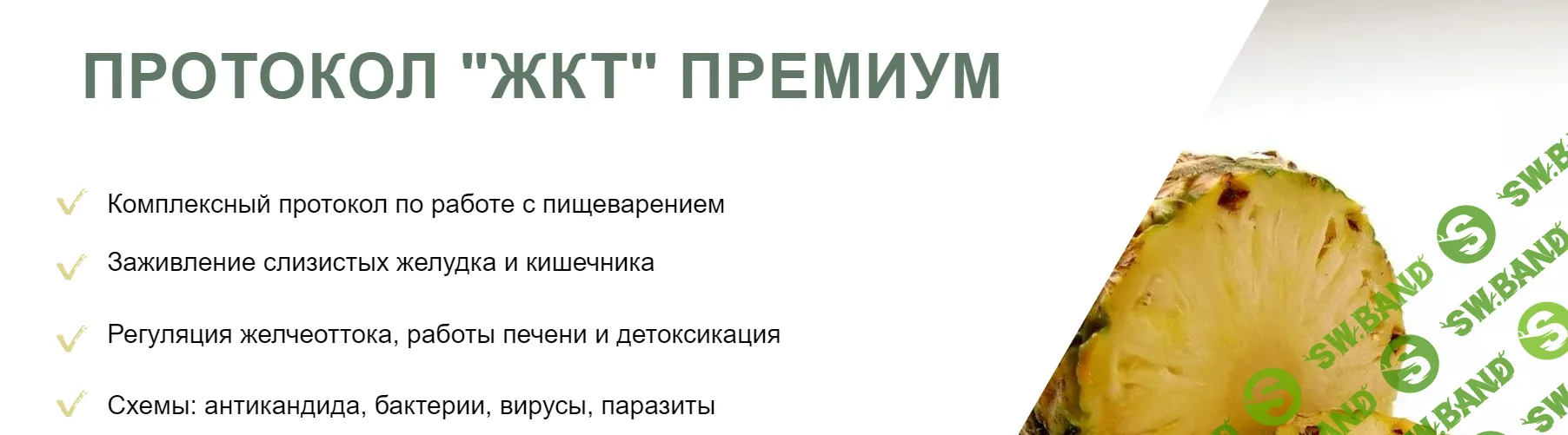[Светлана Литвиненко] Протокол «ЖКТ» Премиум (2024)