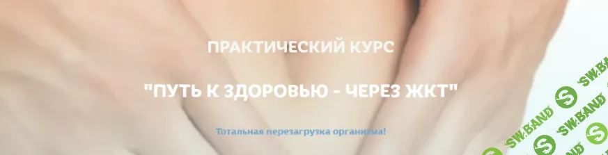[Светлана Литвиненко] Путь к здоровью - через ЖКТ (2020)