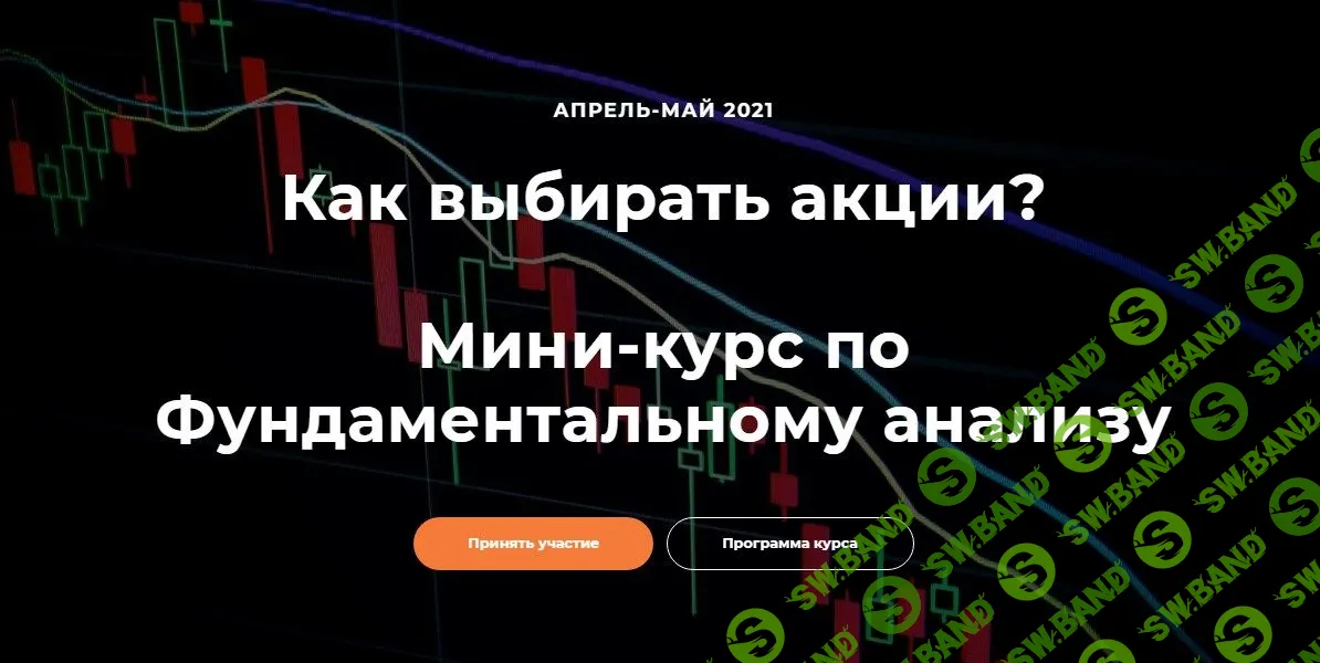 [Светлана Шишкина] Мини-курс по фундаментальному анализу (2021)