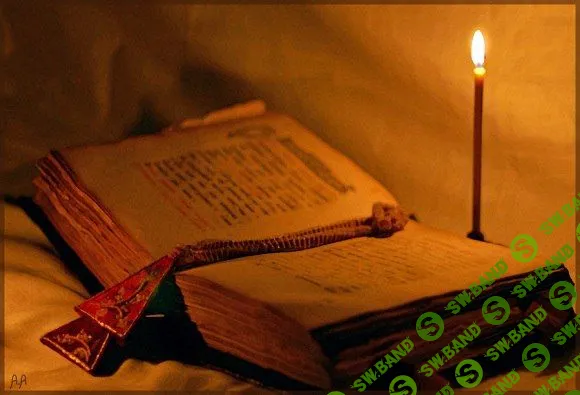 [Светлана Соколова] Защита 7 крестов (2023)