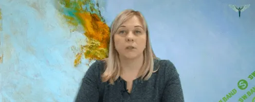 [Светлана Зорина] Экспрессивная терапия пограничной личности по О. Кернбер (2024)