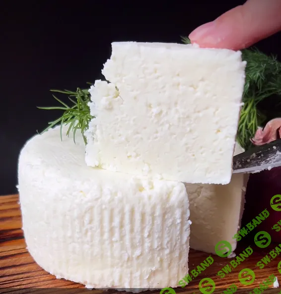 [СыроварКрым] Начинающие (2025)