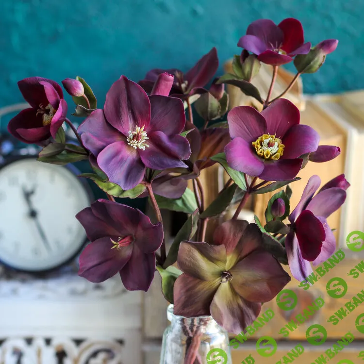 [tanyaflower] Морозник (2024)