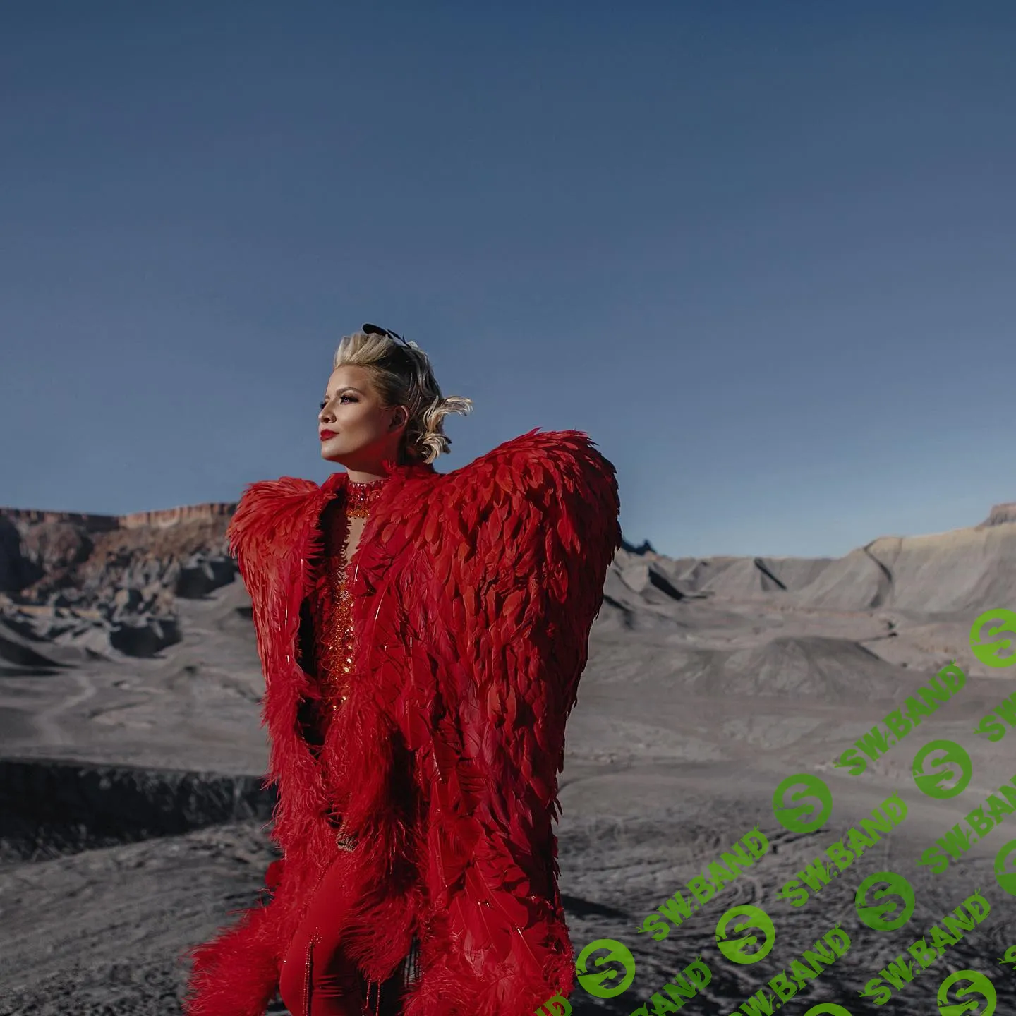 [Тата Феодориди] Интеграция Теней для разных типов мышления (2022)