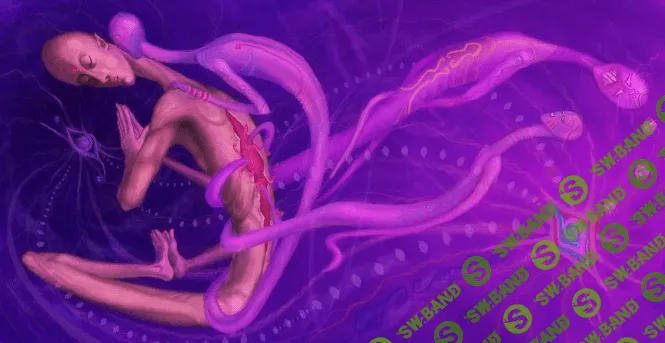 [Татьяна Аверина] Сущности: что с ними делать? (2022)