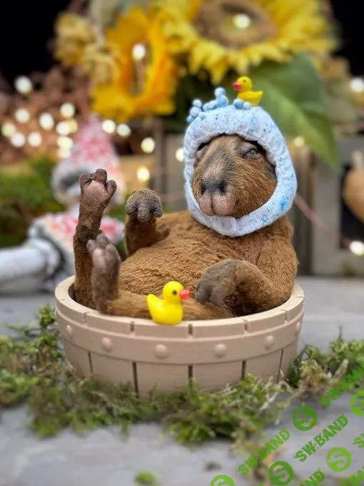 [Татьяна Баканова] Капибара (2023)