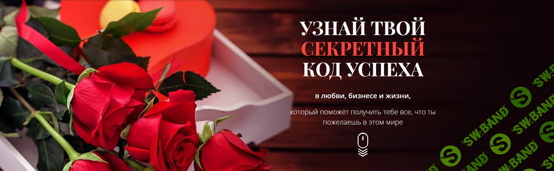 [Татьяна Бахтиозина] Успешная леди (2020)