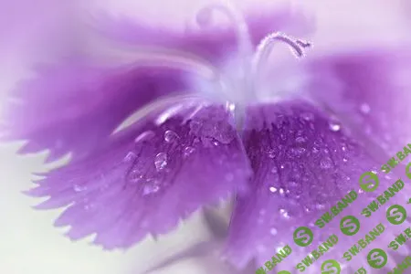 [Татьяна Бахтиозина] Воплощение. Материализация желаний. Мастер-класс (2018)