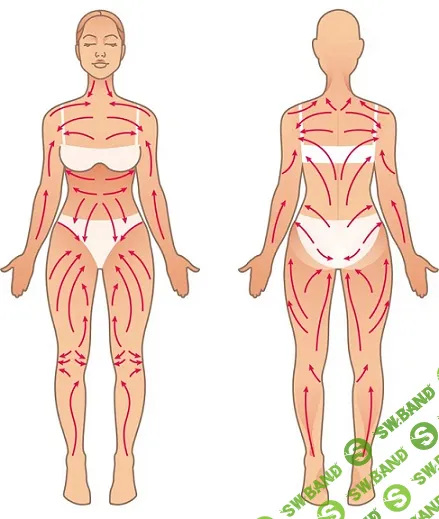 [Татьяна Дудина] Лимфодренажный самомассаж (2025)