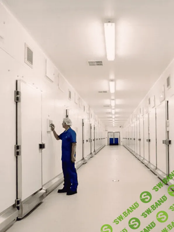 [Татьяна Коноблей] Инкубаторы для сельскохозяйственной птицы и их техническая характеристика (2023)