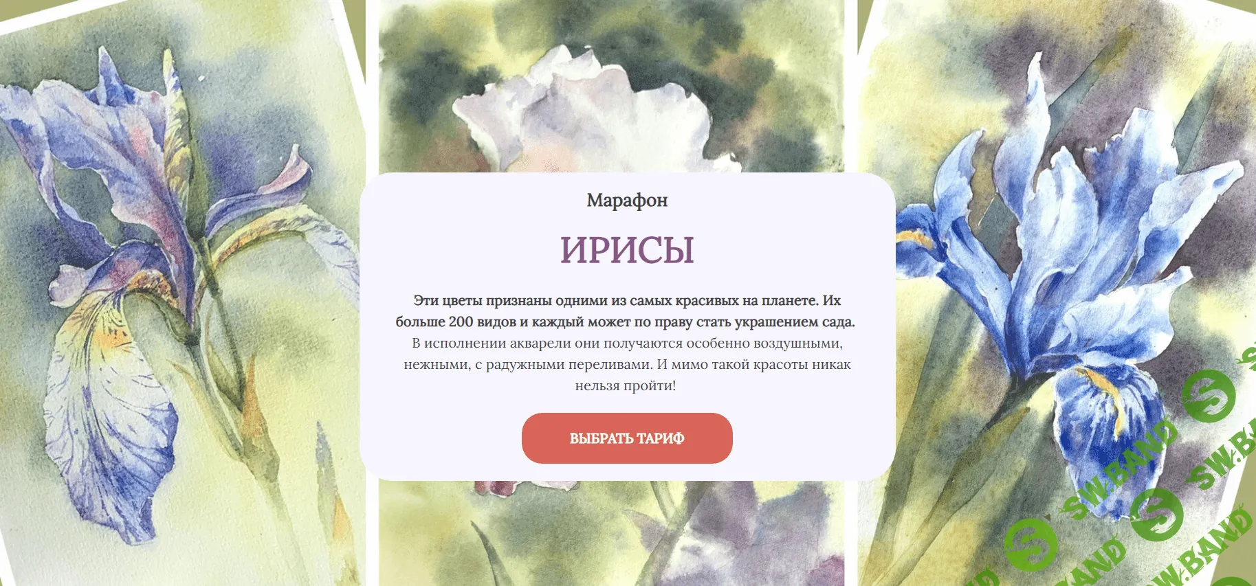 [Татьяна Обухова] Ирисы (2024)