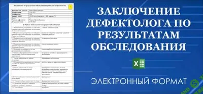 [Татьяна Тверитинова] Конструктор заключения дефектолога (школа, детский сад) (2025)