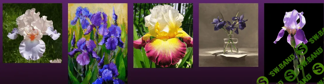 [Татьяна Зубова] Анатомия цветов. Ирисы (2022)