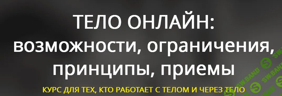 [Тело в дело] Тело онлайн: возможности, ограничения, принципы, приемы (2022)