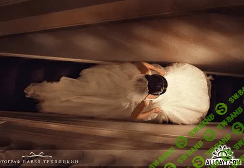 [Теплицкий] Секреты создания дорогой фотокниги (2014)