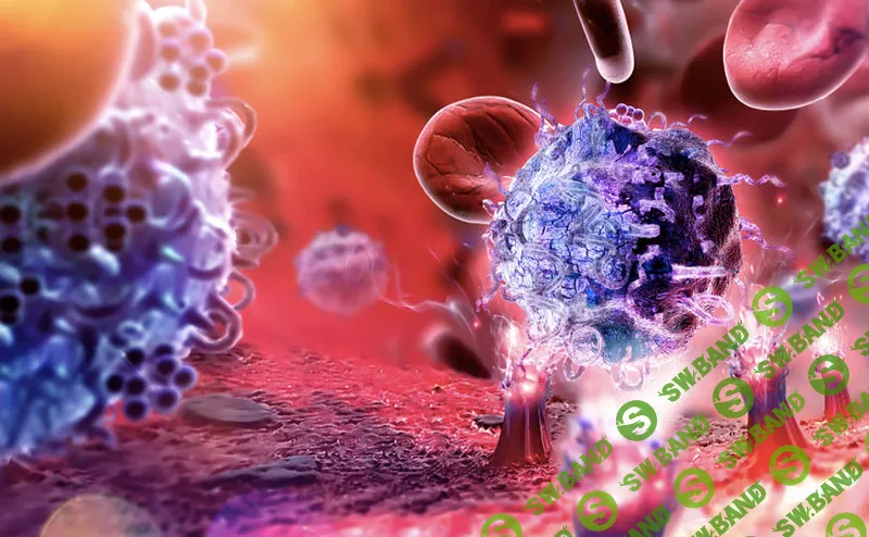 [Терри Уолс] Аутоиммунный протокол