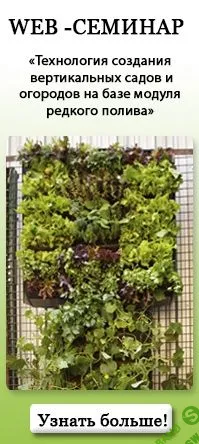 Технология создания вертикальных садов и огородов на базе модуля редкого полива (2015)