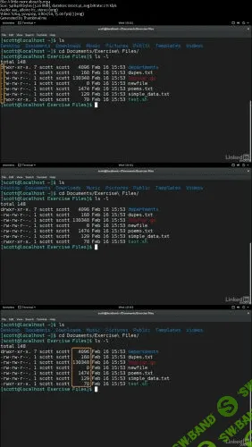 [The Basics] Learn the Linux Command Line