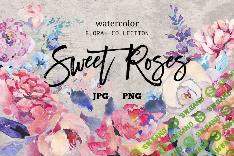 [Thehungryjpeg] Watercolor Sweet Roses (2019)