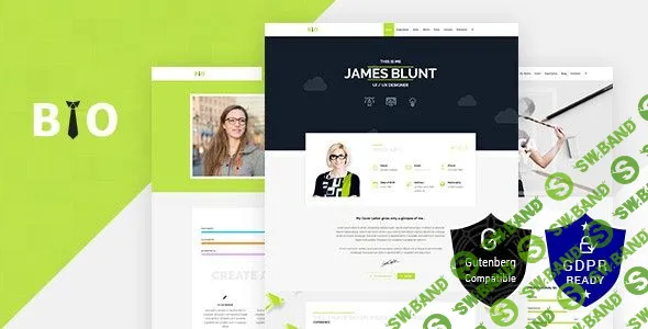 [ThemeForest] Bio v1.5 - Resume, CV, Freelancer WordPress Theme